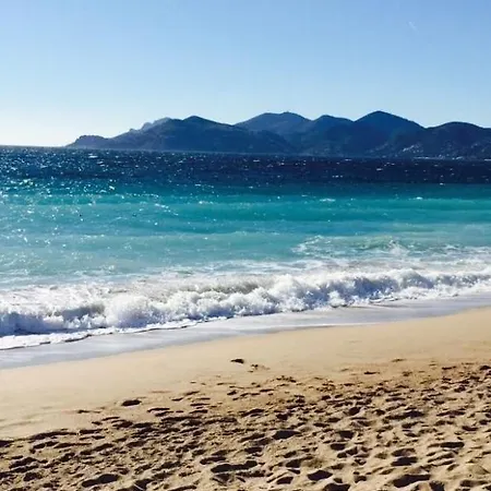 Palmiers Plage,vue Mer,veranda,balcon,parking,clime Cannes