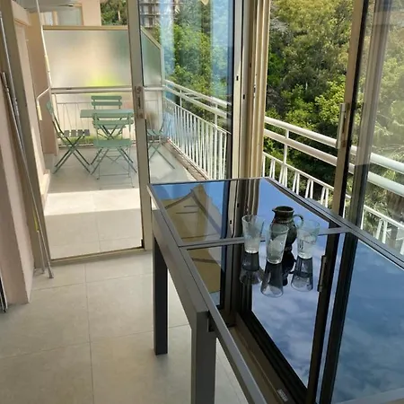 Palmiers Plage,vue Mer,veranda,balcon,parking,clime *